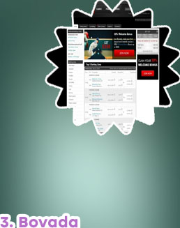 Bovada pga